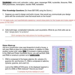 Student exploration building dna answer key