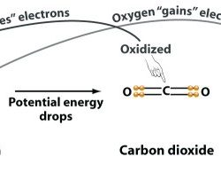 Example of redox and metathesis reactions