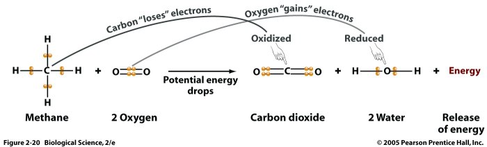 Example of redox and metathesis reactions