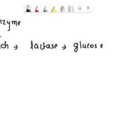 Match the enzyme to its action in carbohydrate digestion.