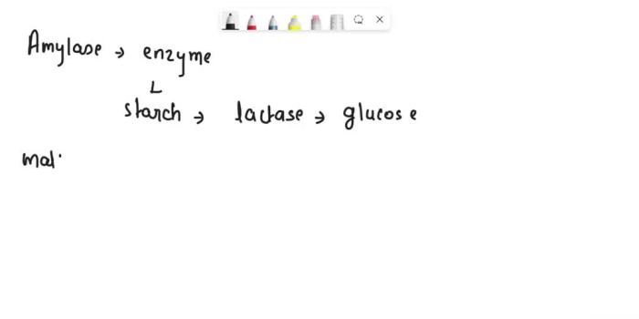 Match the enzyme to its action in carbohydrate digestion.