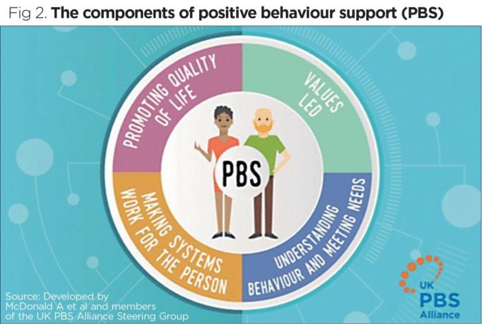 Restrictive interventions reducing behaviour behaviours disability understanding