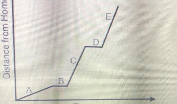 Based government mixed involvement rationing price some economic system descriptions matches traditional given select each type forces demand supply market