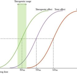 Ld50 toxicity for different substances answer key